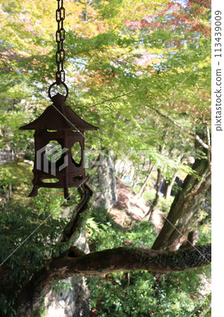 小津伽流山莊 113439009