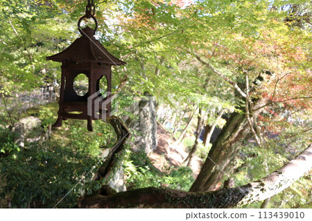 小津伽流山莊 113439010