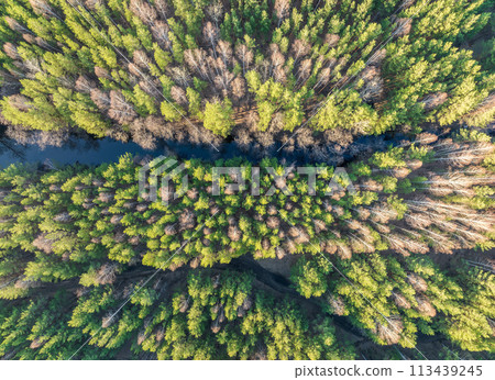 Spring or autumn lake in forest. Aerial view of lake in spring or autumn 113439245