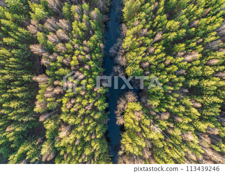 Spring or autumn lake in forest. Aerial view of lake in spring or autumn Spring or autumn lake in forest. Aerial view of lake in spring or autumn 113439246