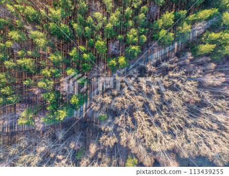 Aerial drone view of stunning colorful autumn fall forest. Aerial drone view of stunning colorful autumn fall forest. 113439255