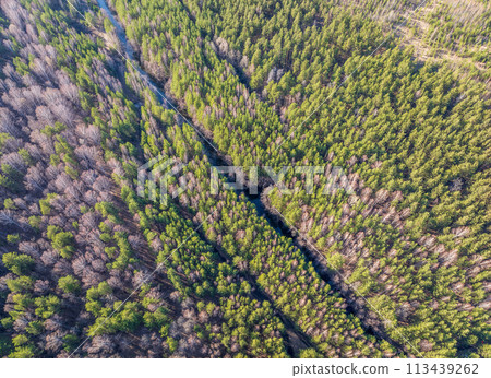 Spring or autumn lake in forest. Aerial view of lake in spring or autumn 113439262