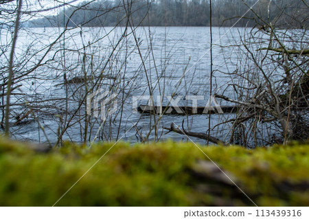 A river with a mossy surface and a bridge in the background 113439316