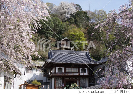 慈恩寺是位於岡山縣津山市的天台寺。 慈恩寺是位於岡山縣津山市的天台寺。 113439354