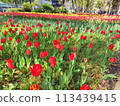 2024 Garden Necklace Yokohama 113439415