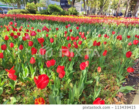 2024 Garden Necklace Yokohama 113439415