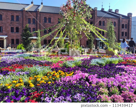 2024 Garden Necklace Yokohama 113439417