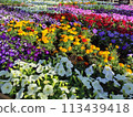 2024 Garden Necklace Yokohama 113439418