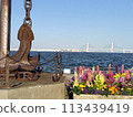 Lingang Park 113439419