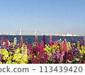 Linhai Park 113439420