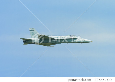美國海軍F/A-18C大黃蜂水平飛行 113439522