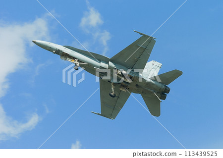 美國海軍 F/A-18C 大黃蜂復飛機 113439525