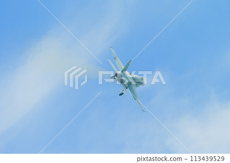 美國海軍 F/A-18C 大黃蜂復飛機 113439529