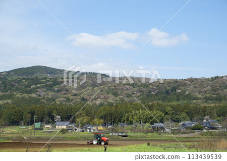 Mountain cherry blossoms and peaceful rural scenery in Sakuragawa City, famous for the Noh play Sakuragawa Mountain cherry blossoms and peaceful rural scenery in Sakuragawa City, famous for the Noh play Sakuragawa 113439539