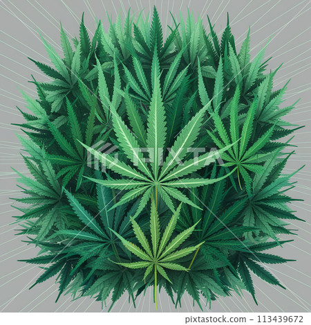 Cannabis marijuana hemp leaf green background medicine weed herb Cannabis marijuana hemp leaf green background medicine weed herb 113439672