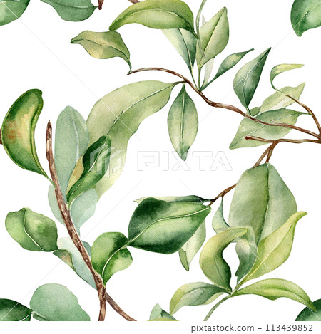 Leaves on branch fruit tree watercolor seamless pattern isolated on white. Foliage of citrus tree hand drawn. Bergamot , grapefruit plants in botanical sketch style. Assorted green leaf for print Leaves on branch fruit tree watercolor seamless pattern isolated on white. Foliage of citrus tree hand drawn. Bergamot , grapefruit plants in botanical sketch style. Assorted green leaf for print 113439852
