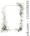 常春藤框架 113439935