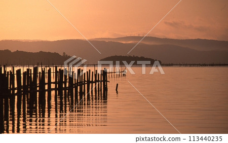 日出時的牡蠣架 113440235