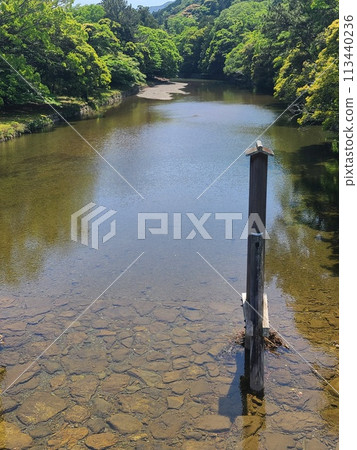 伊勢神宮的河 113440236