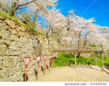 春天的津山城，櫻花盛開，岡山縣，旅行 113440240