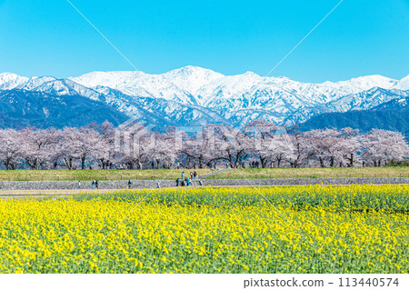 船川四重奏 船川四重奏 113440574