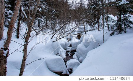  下雪的八岳明岳春天北澤山步道 113440624