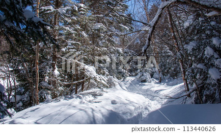 下雪的八岳明岳春天北澤山步道 下雪的八岳明岳春天北澤山步道 113440626