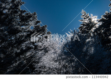 從白雪皚皚的八岳赤竹湖線帳篷營地眺望寒冷的日出 從白雪皚皚的八岳赤竹湖線帳篷營地眺望寒冷的日出 113440942