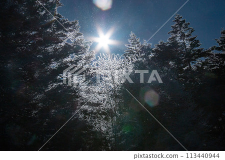 從白雪皚皚的八岳赤竹湖線帳篷營地眺望寒冷的日出 113440944