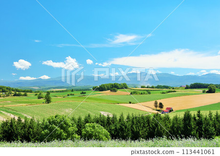 Hokkaido summer blue sky and Biei landscape Hokkaido summer blue sky and Biei landscape 113441061
