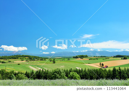 北海道夏天藍天和Biei風景 113441064