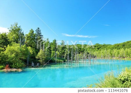 Blue sky and blue pond in Hokkaido summer 113441076