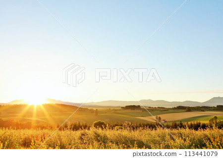 在黎明的北海道秋天早晨太陽 113441079