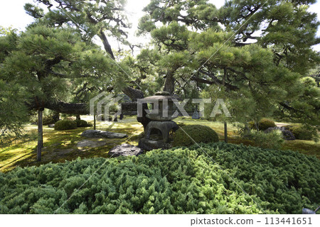 二條城 二條城 113441651