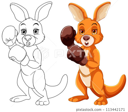 Boxing Kangaroo Illustration Before and After 113442171