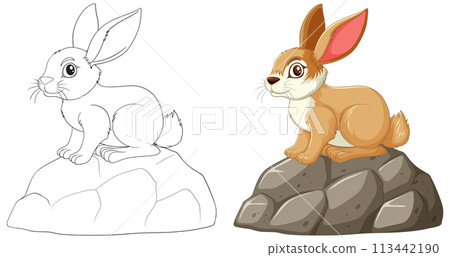 Cute Rabbit on a Rock Illustration 113442190