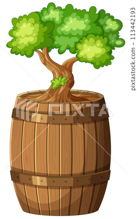 Tree Growing from Wooden Barrel Tree Growing from Wooden Barrel 113442193
