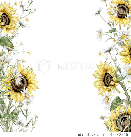 Frame watercolor summer flowers. Meadow bouquet with white daisy and yellow sunflower flowers. Hand drawn illustration on isolated background. Blossom botanical border with paint wildflower. 113442246