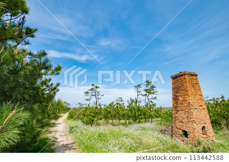 Brick chimney and blue sky landscape Brick chimney and blue sky landscape 113442588