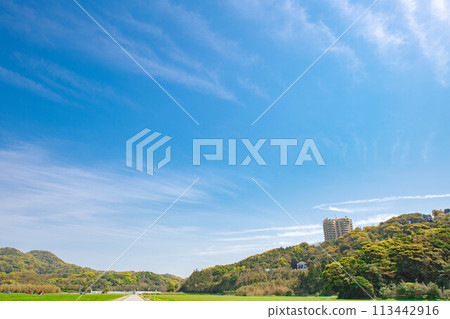 鄉村風景與藍天 鄉村風景與藍天 113442916