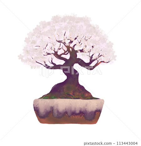 Gorgeous cherry blossom bonsai in full bloom, transparent background illustration, sepia tone 113443004