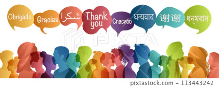 Speech bubbles with text Thank you in various international languages.Group of silhouette multicultural people profile from different country and continents.Thanks.Thankful.Diversity Speech bubbles with text Thank you in various international languages.Group of silhouette multicultural people profile from different country and continents.Thanks.Thankful.Diversity 113443242