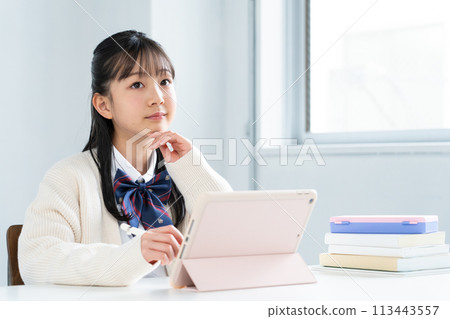 Girl studying on a tablet 113443557