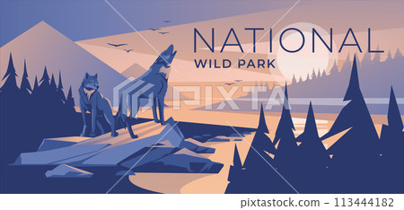 two wolves in a mountain coniferous forest on the bank of a river. Dusk blue sunset. Wild natural park. Vector illustration 113444182