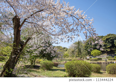 神奈川縣橫濱市佐倉朝日區兒童自然公園 神奈川縣橫濱市佐倉朝日區兒童自然公園 113444224