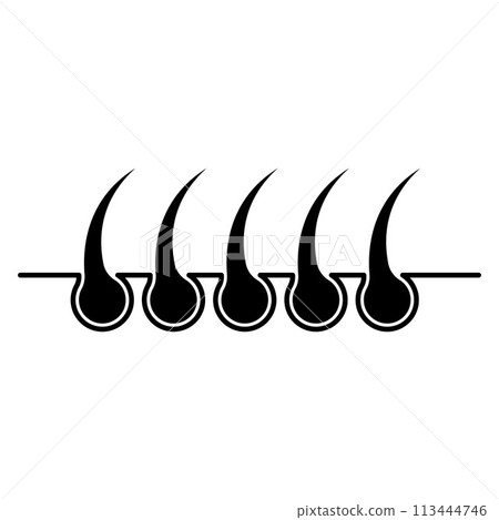 Hair wool follicle icon, hair follicle bulbs Hair wool follicle icon, hair follicle bulbs 113444746