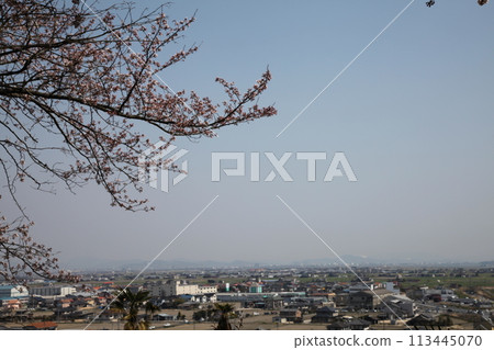 櫻花 櫻花 113445070