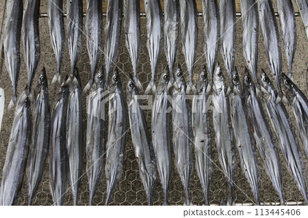 兩個眼鏡 兩個眼鏡 113445406