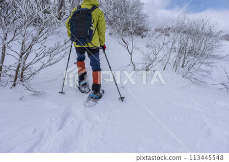 雪鞋健行 Oyama Kagami 的形象 113445548