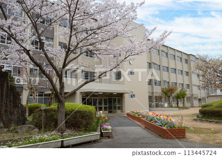 Cherry blossoms, elementary school building and blue sky Cherry blossoms, elementary school building and blue sky 113445724